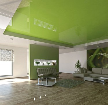 SPANNDECKE-vecta-designgreen-render